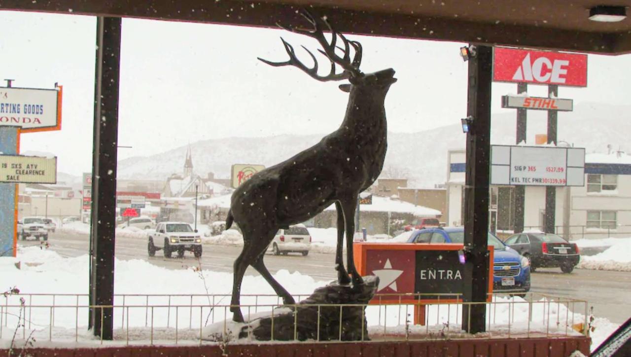 Magnuson Cedar City Motel Exterior photo